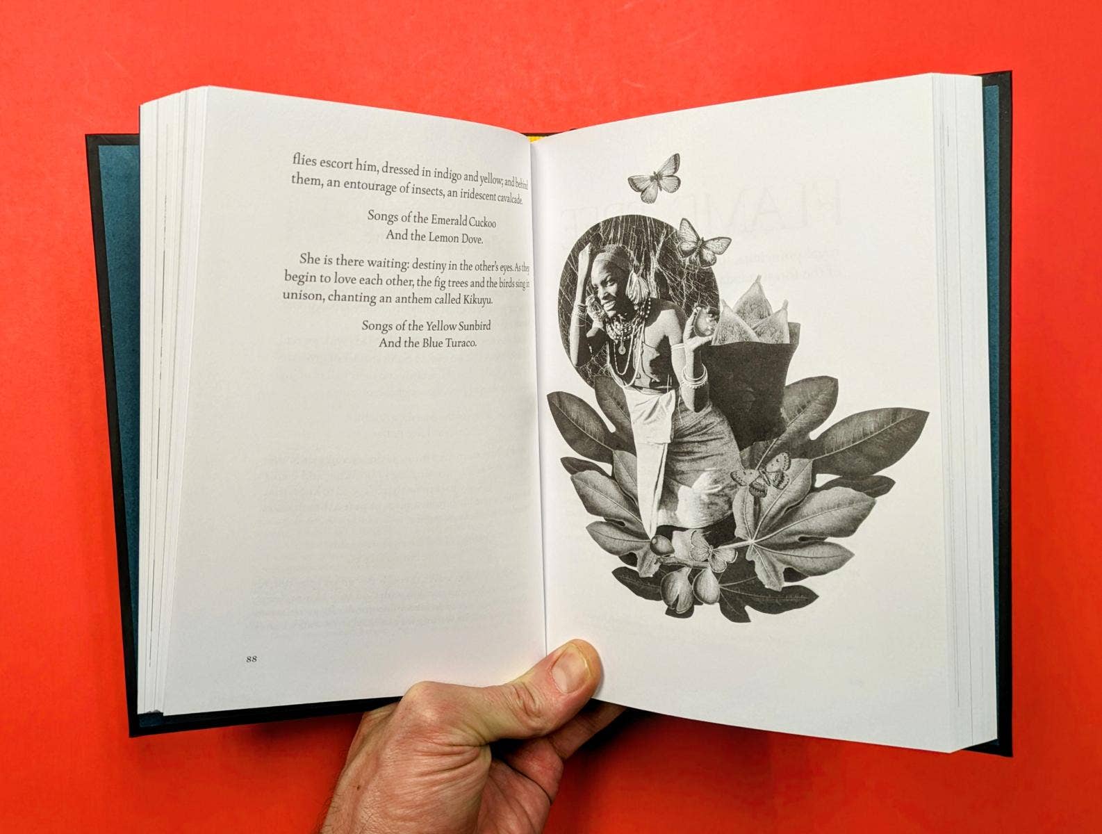 Microcosm Publishing & Distribution - Wholesale Nature & Outdoors Book - The Encyclopedia of Rootical Folklore1