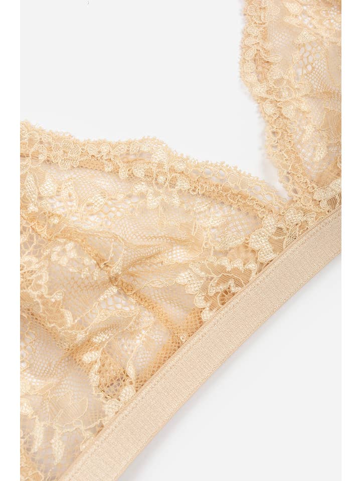 Noxlook Fashion and Lingerie - Wholesale Lingerie Set - Women's - Blush Velvet Lingerie Set Bra and G-String Set in Nude14