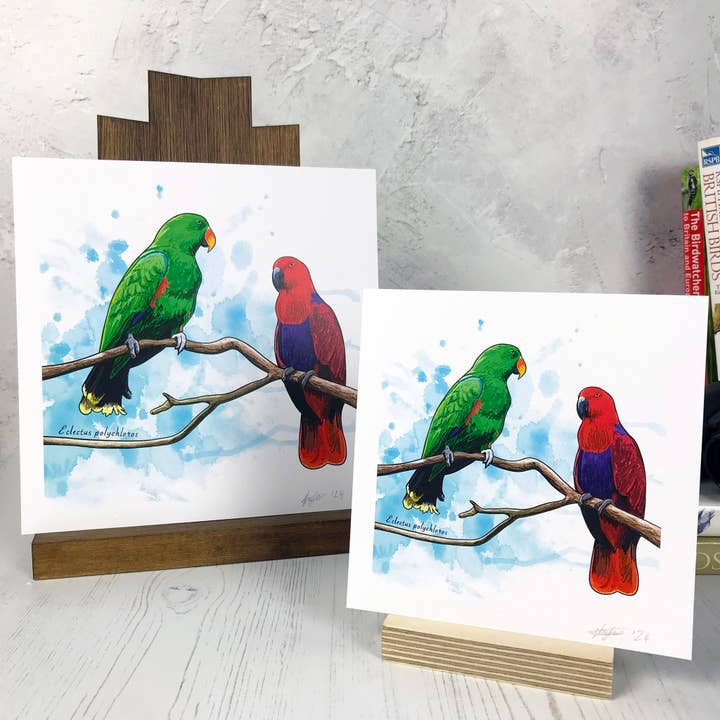 Loadofolbobbins - Wholesale Art Print - Eclectus Parrot Bird Print4