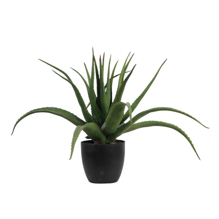 Michael & Philipp Noll e. K. – Engroshandel Kunstig plante – Aloe vera plante, kunstig plante, i sort potte, meget ægte