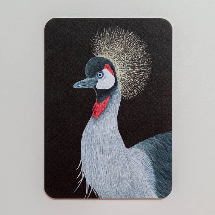 Postkort HENRI for engroshandel hos Studio Binck