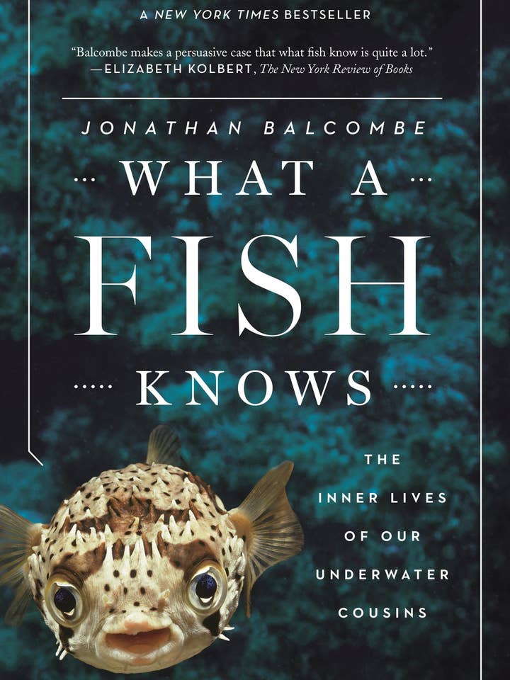 What A Fish Knows: The Inner Lives Of Our Underwater Cousins for wholesale by Macmillan Publishers