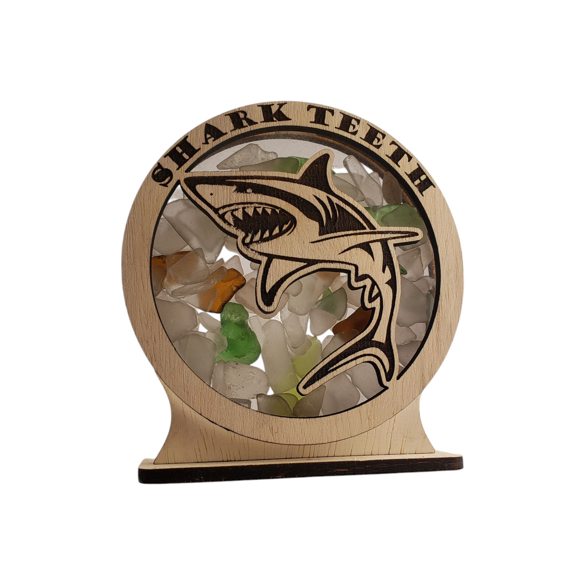 Sea Glass Displays - Wholesale Display Case - Shark Teeth Snowglobe Sea Glass Shadowbox Display 4 Styles1