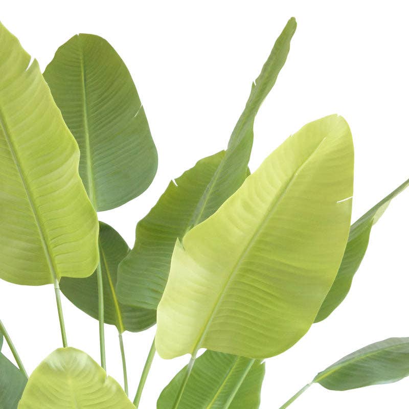 CG Hunter - Wholesale Artificial Plant - 8' Bird of Paradise Tree in Modern Gray Planter5