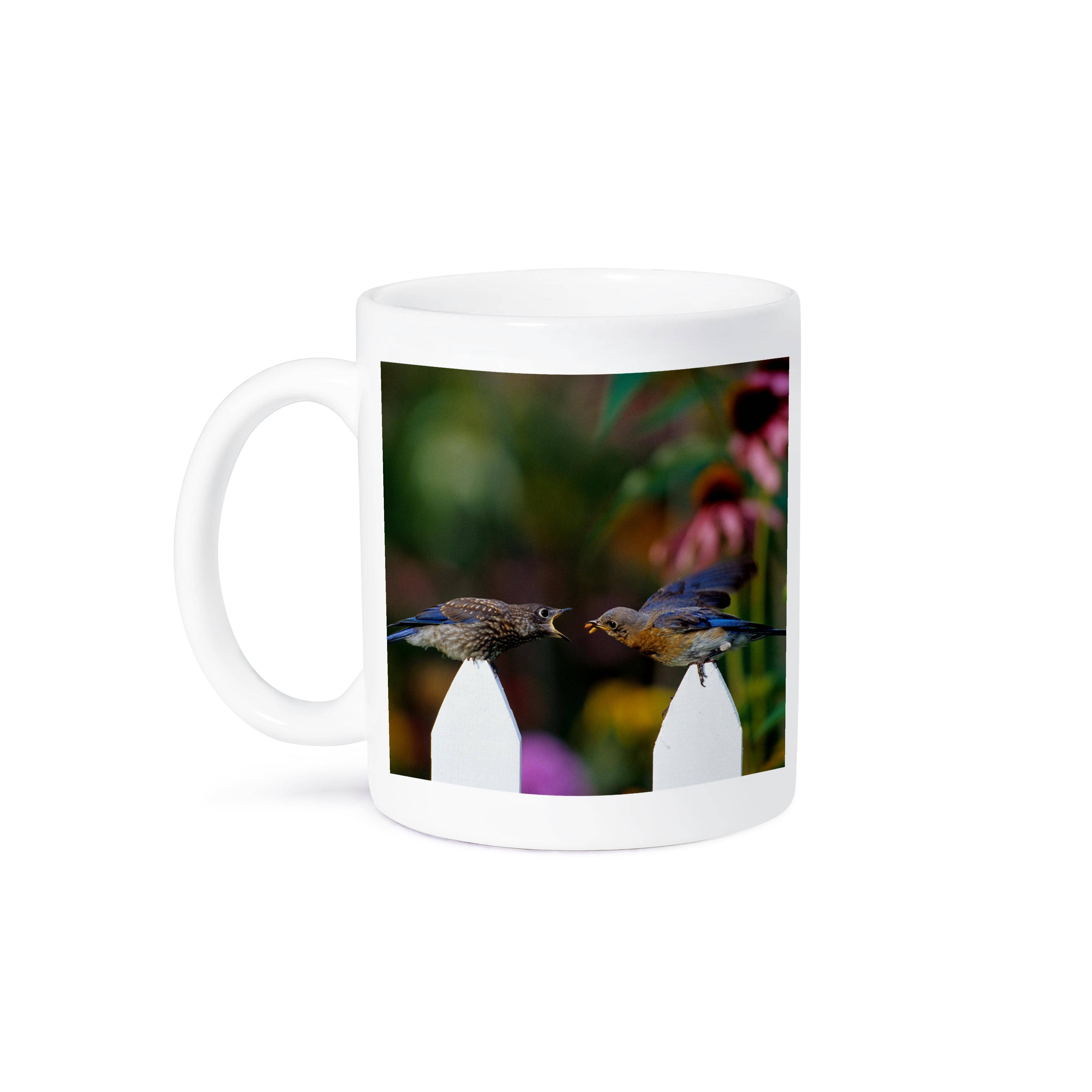 3dRose – wholesale Coffee mug – 3dRose, Eastern Bluebird female feeding fledgling on picket fence near flowers, Mug8