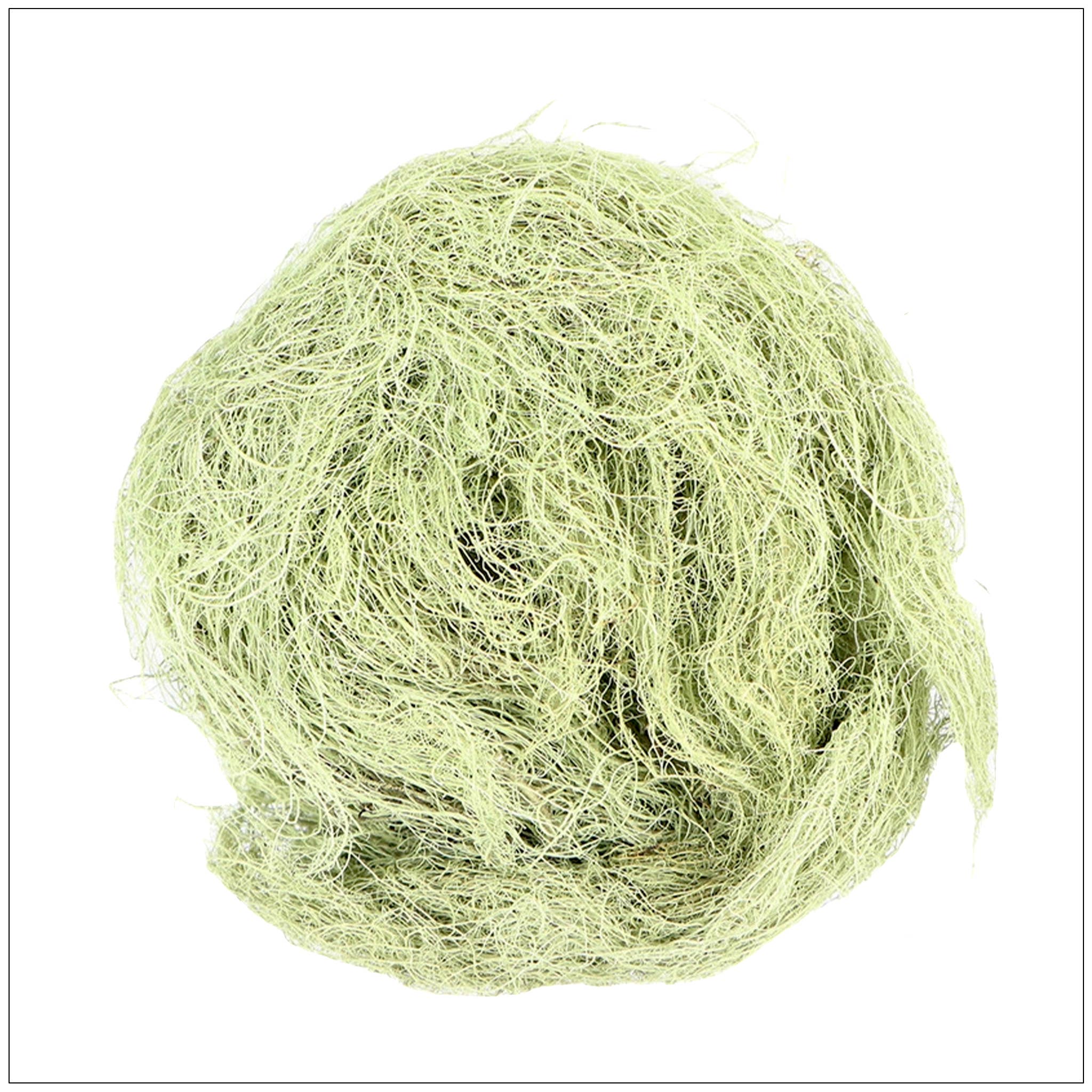 Alive Herbals - Wholesale Herbs - Usnea Lichen0