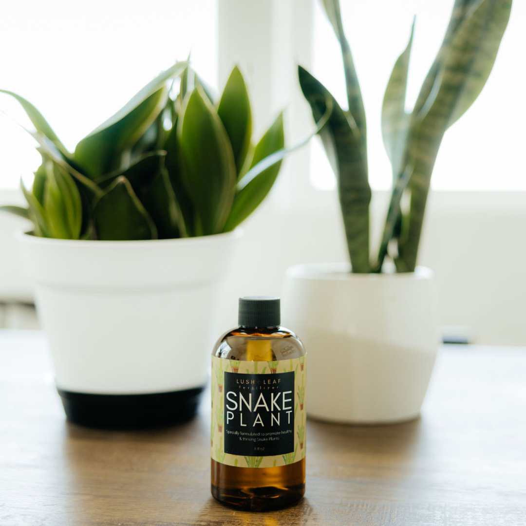 Lush Leaf – Fertilizante por atacado – Alimento para plantas de serpente5