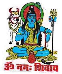 GREENROOTS USA LLC - Wholesale Sticker - Heer Shiva Sticker - 2,5" X 3" (10 Per Pakket)0