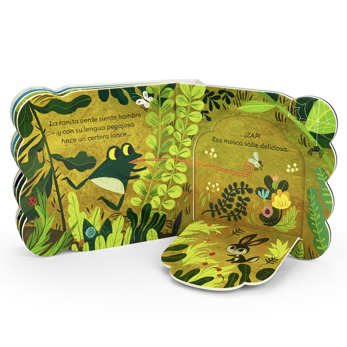 Cottage Door Press - Wholesale Baby & Toddler Book (0-2) - La Ranita Verde / Little Green Frog (Spanish Edition)1