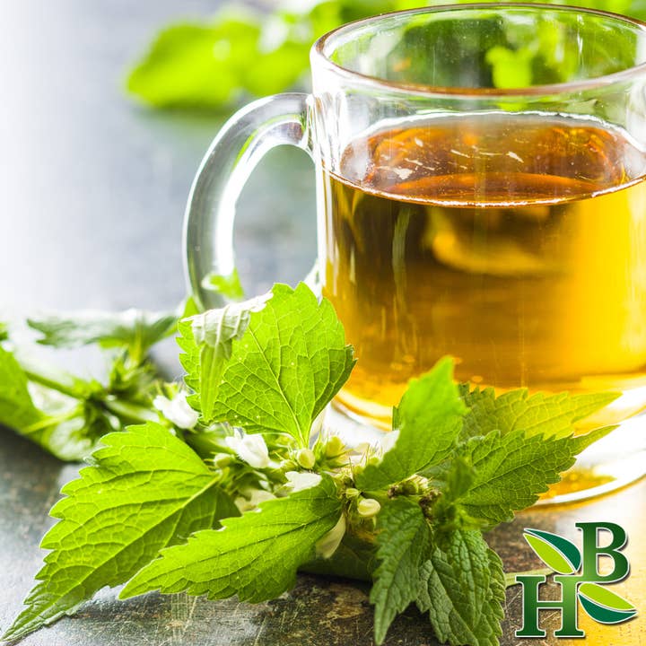 Herb To Body - Wholesale Herbs - Nettle Leaf C/S