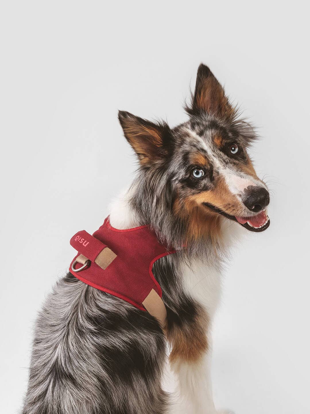Qisu - Wholesale Pet Harness - Dog - Dog harness | Hug Harness10