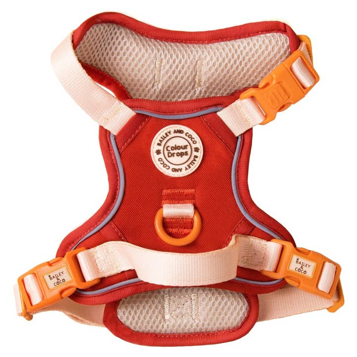 Trail & Glow® Dog Harness - COLOUR DROPS® - Spice it up for wholesale by Bailey and Coco