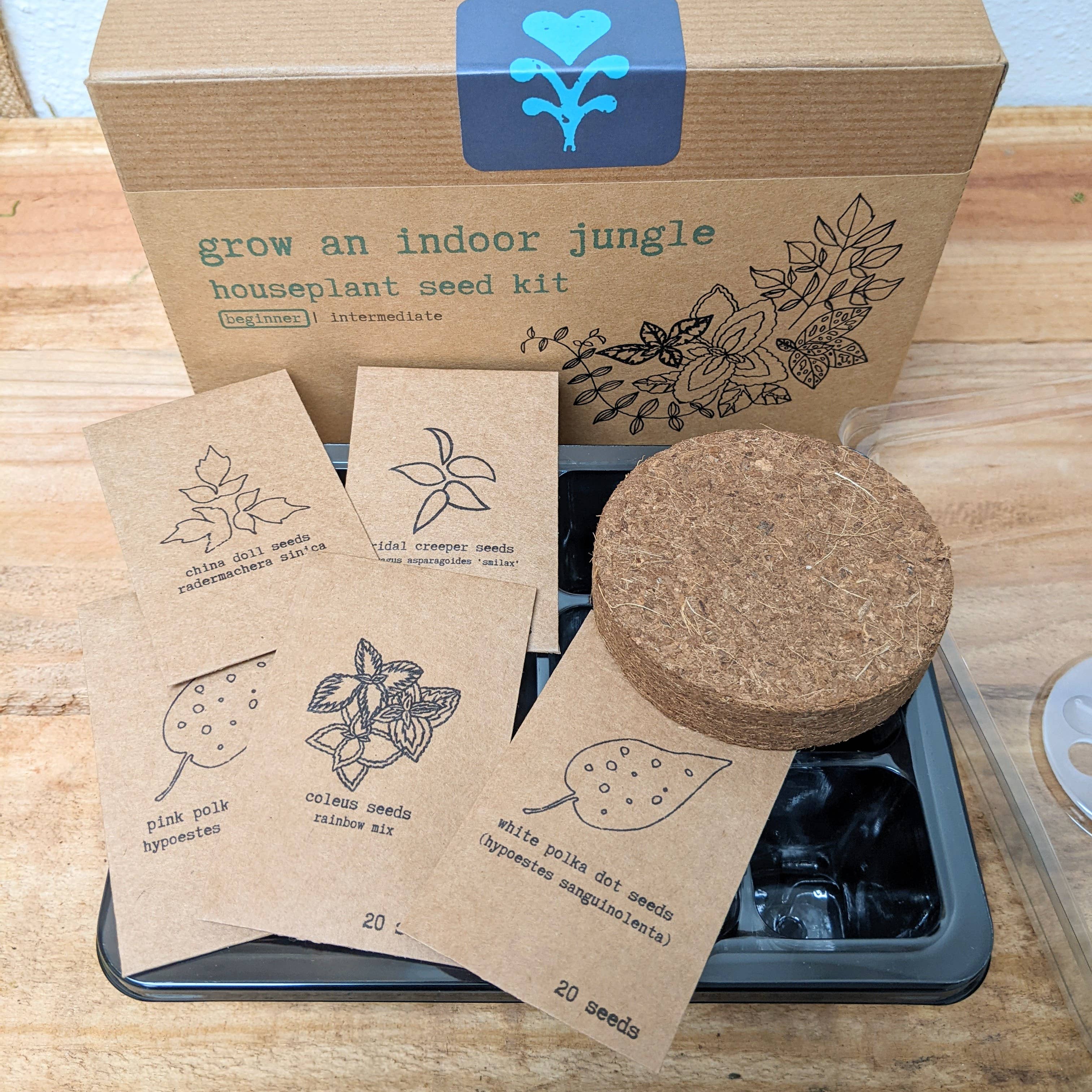 Plantflix - Vente Graines de plantes - Kit de graines pour plantes d'intérieur « Grow an Indoor Jungle »6