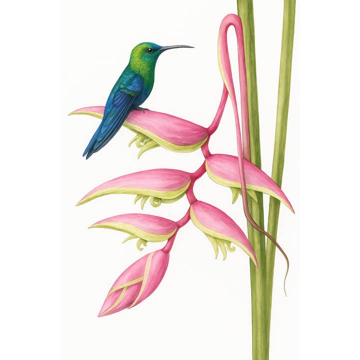 Fugl på blomsterprint for engroshandel hos Gypsea Beach Club