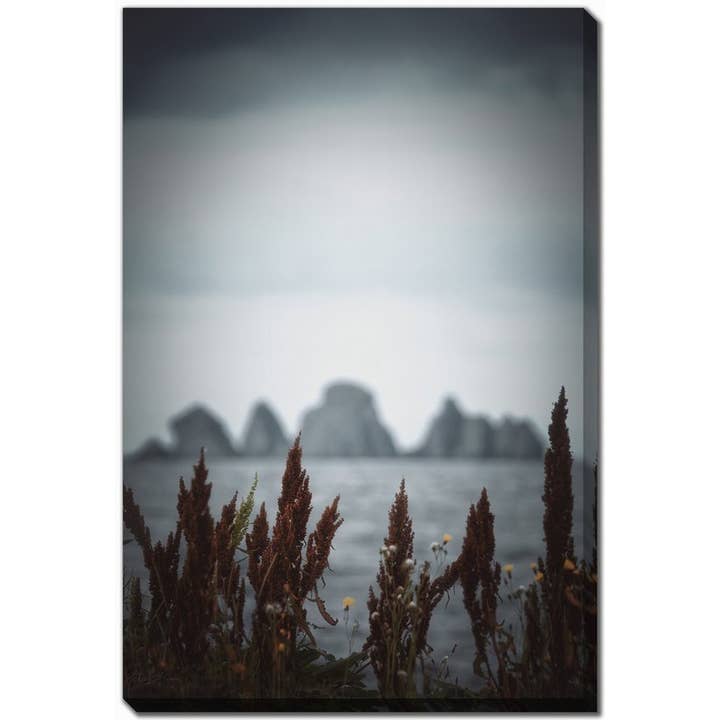 Brown Grey Sky Island 30x45 Printed Canvas Wall Art for wholesale by Streamline Art