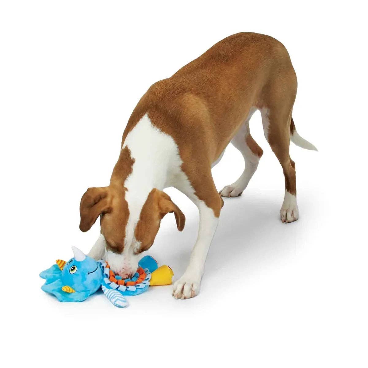 Playful Tail - Wholesale Pet Plush Toy - Dog - Zanies Sniffari Toys (Multiple Styles Available)10