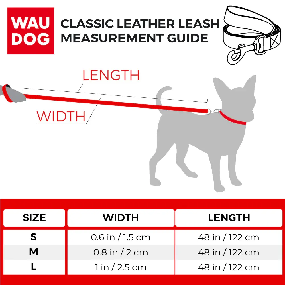 WAUDOG - Vente Laisse – chien - Laisse en cuir classique avec clip en métal4