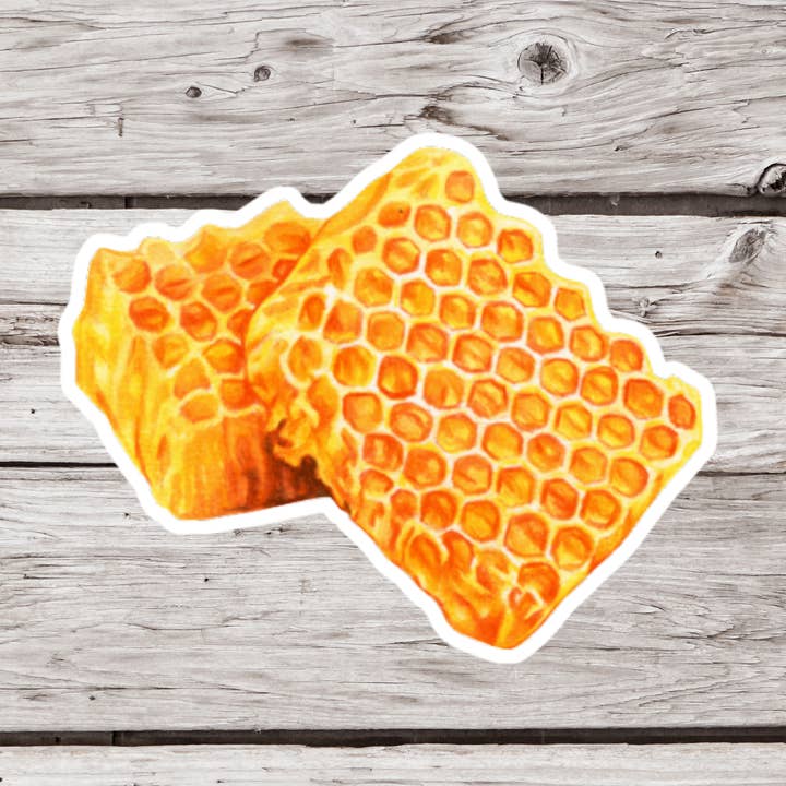 Autocollant en forme de nid d'abeille, autocollant de miel, autocollant d'abeille pour la vente par NatureCuts