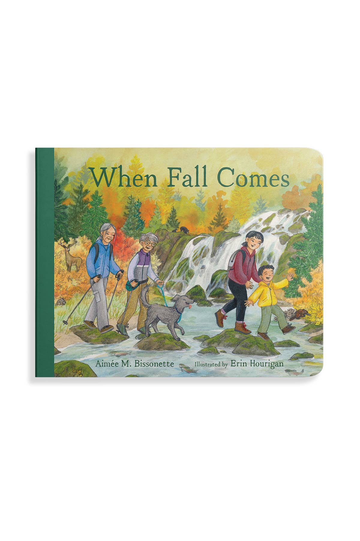 Blue Star Press - Wholesale Baby & Toddler Book (0-2) - When Fall Comes (board book): Season book for kids