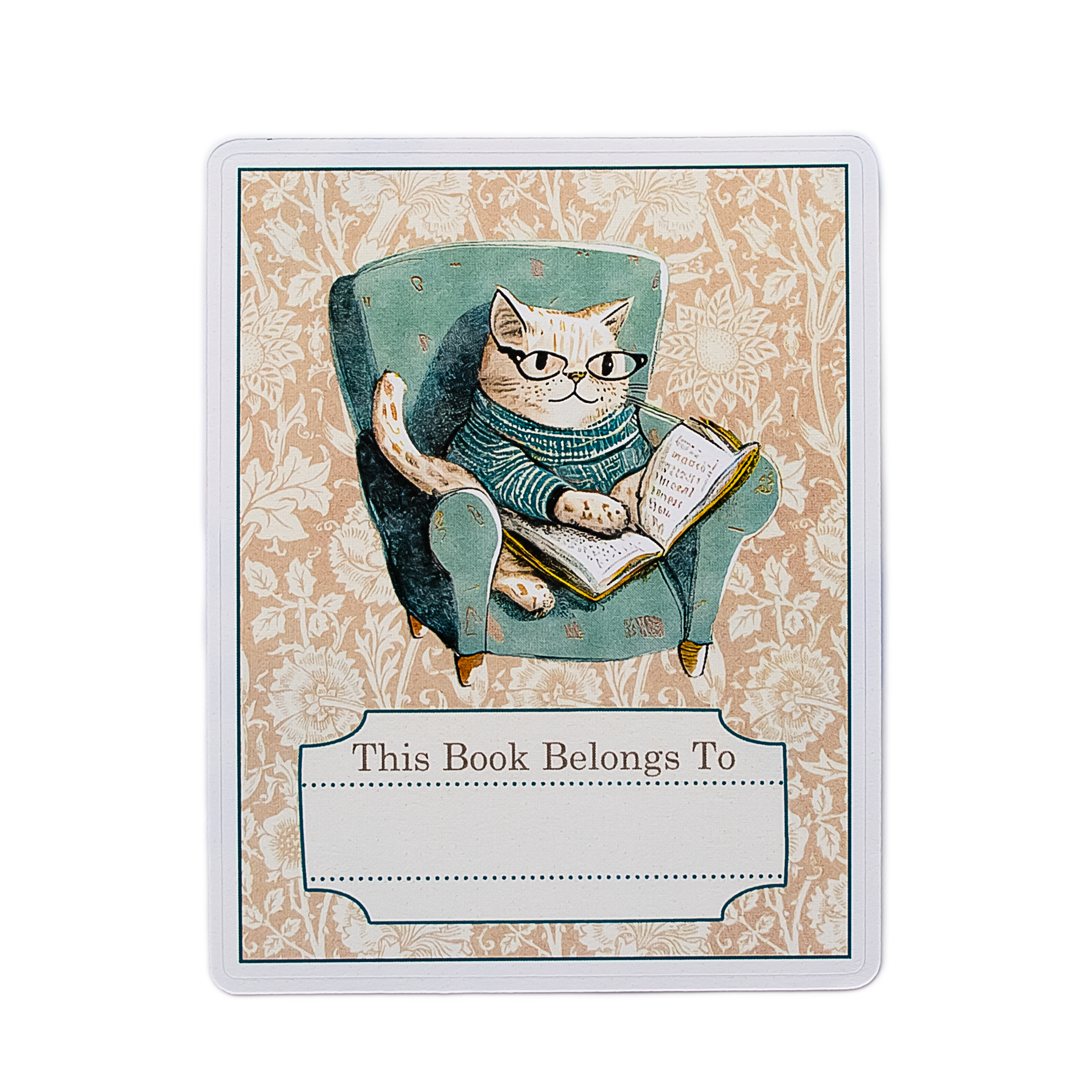 Sunshine and Ravioli - Wholesale Sticker - Cozy Cat Bookplate Stickers 2