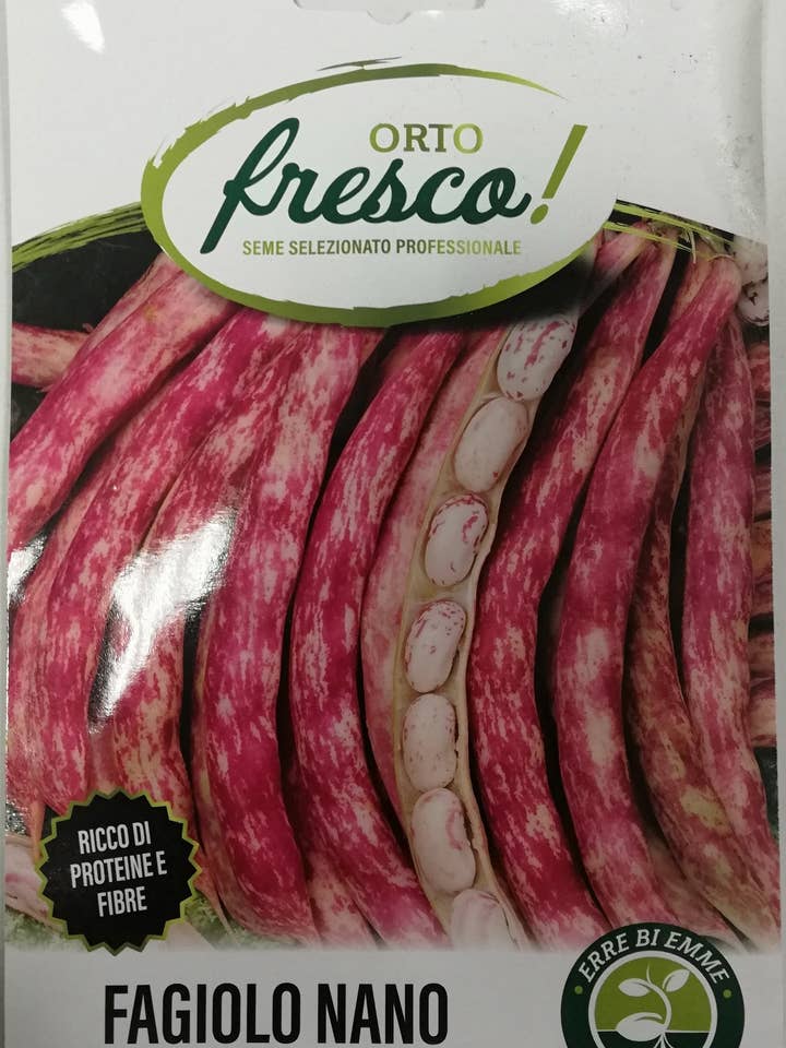 Dwarf Borlotto Bean Fire Tongue Red Sword for wholesale by Sementi & Barbatelle