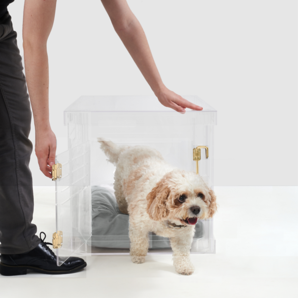 Hiddin - Wholesale Pet Carrier - Dog - Small Crate (Gold Latch)4