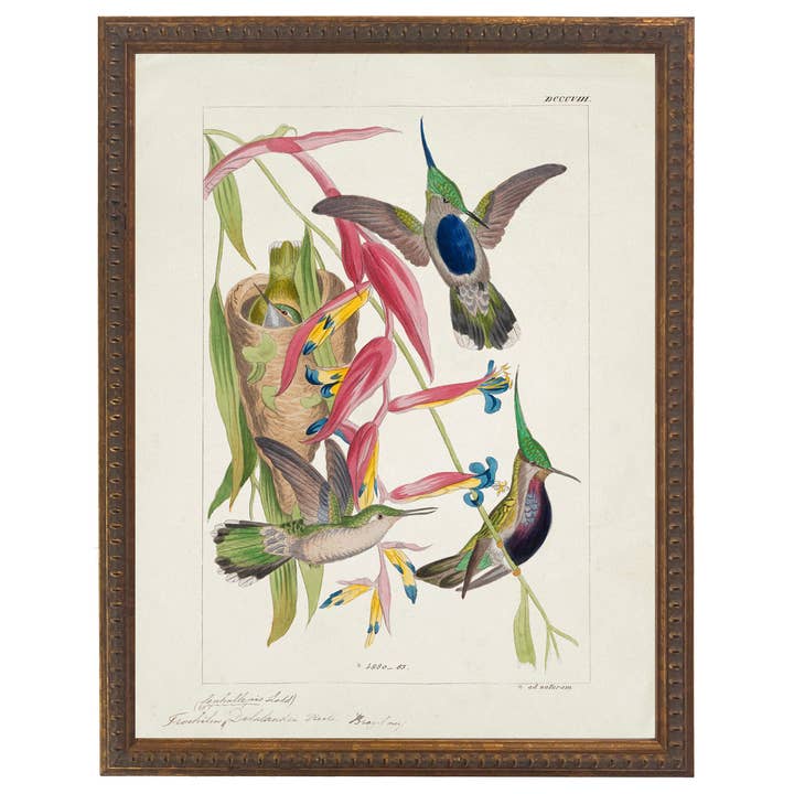 Ex-libris vintage en forme de colibris lumineux G pour la vente par Antique Curiosities Inc