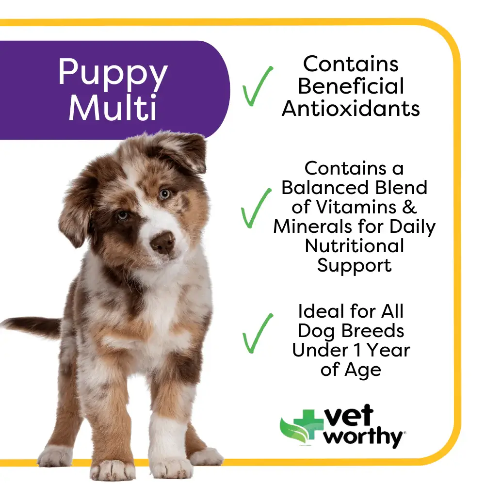 Pet Palette Distribution - Wholesale Pet Supplement - Dog - Vet Worthy Multi-Vitamins for Puppy Soft Chews 60ct1