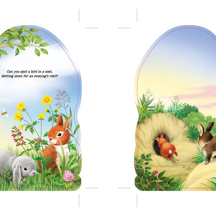 Sourcebooks - Wholesale Baby & Toddler Book (0-2) - Furry Bunny (BB)2