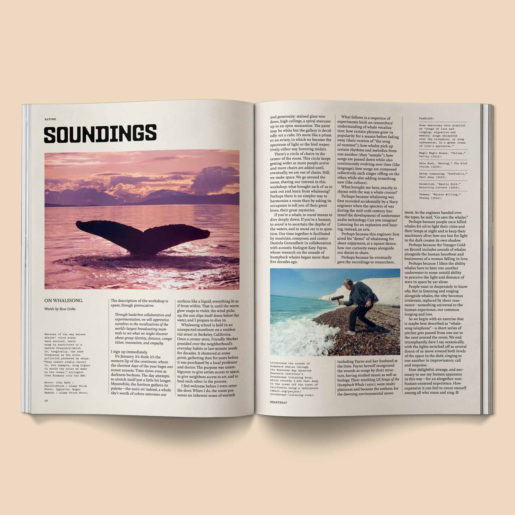 Broccoli - Wholesale Magazine - Heartbeat Magazine: Music, Sound, Emotion10