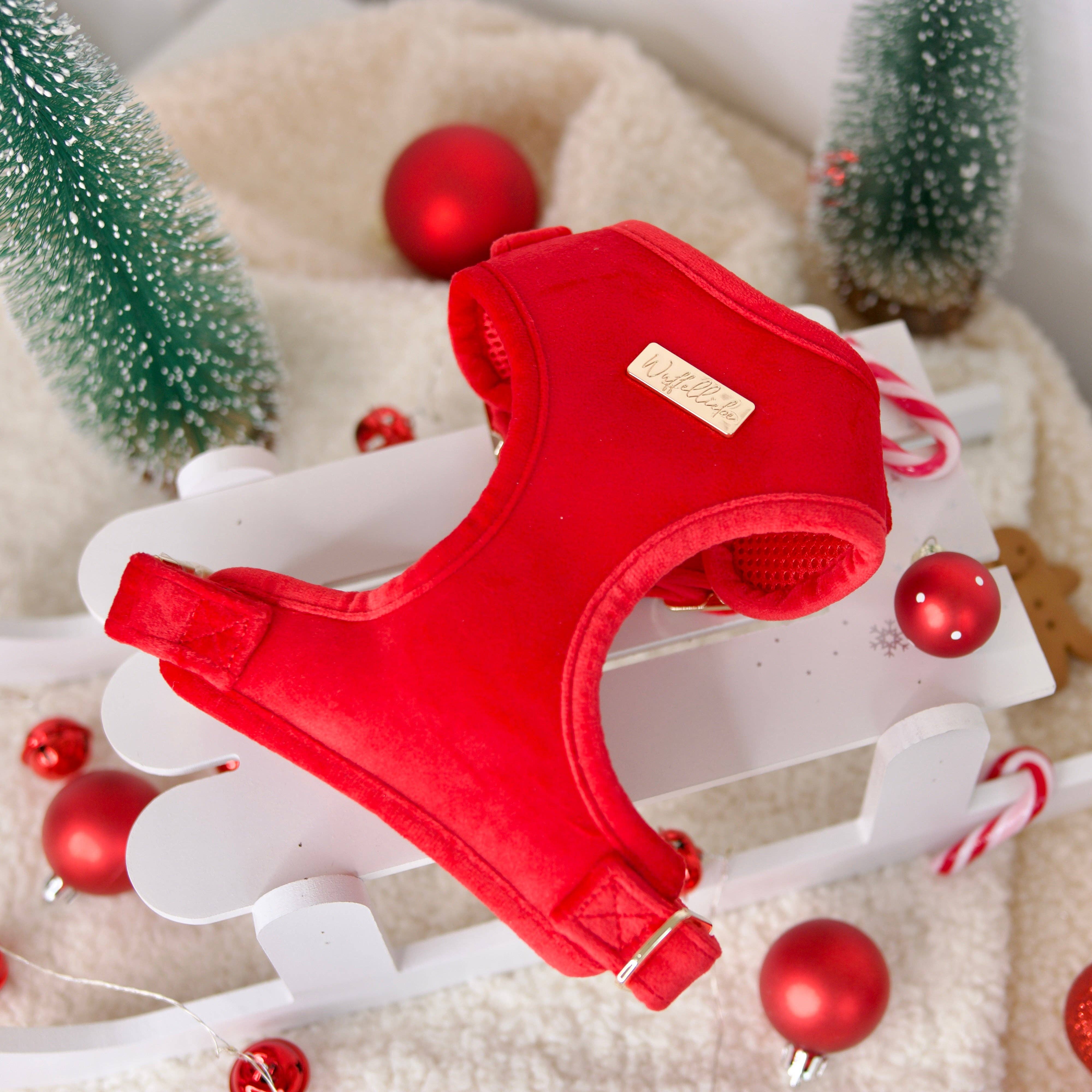 Wuffelliebe - Wholesale Pet Harness - Dog - Wrapped in Love - tableware0