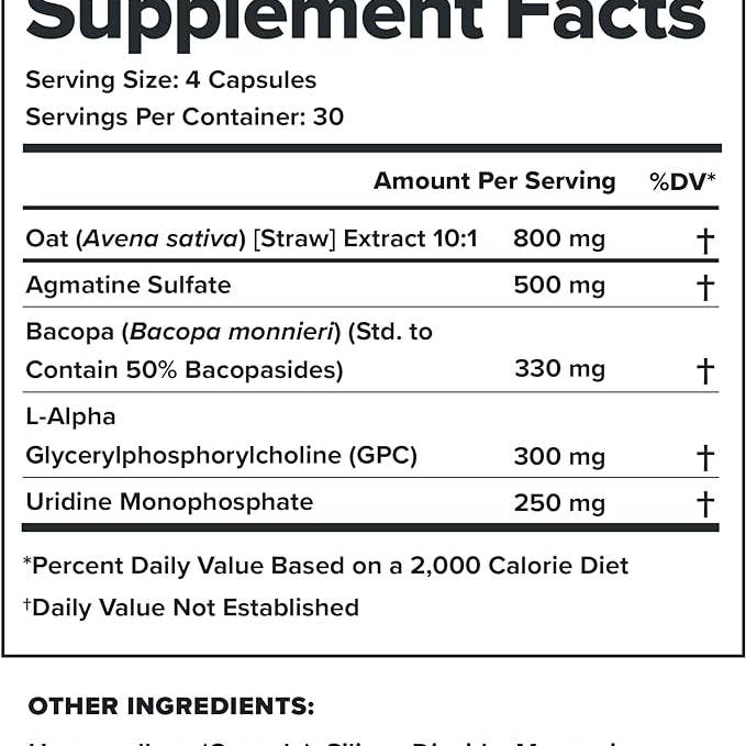 Legion Athletics, Inc. - Wholesale Oral Supplement/Vitamin - Legion Athletics Ascend Nootropic - 30 Serv