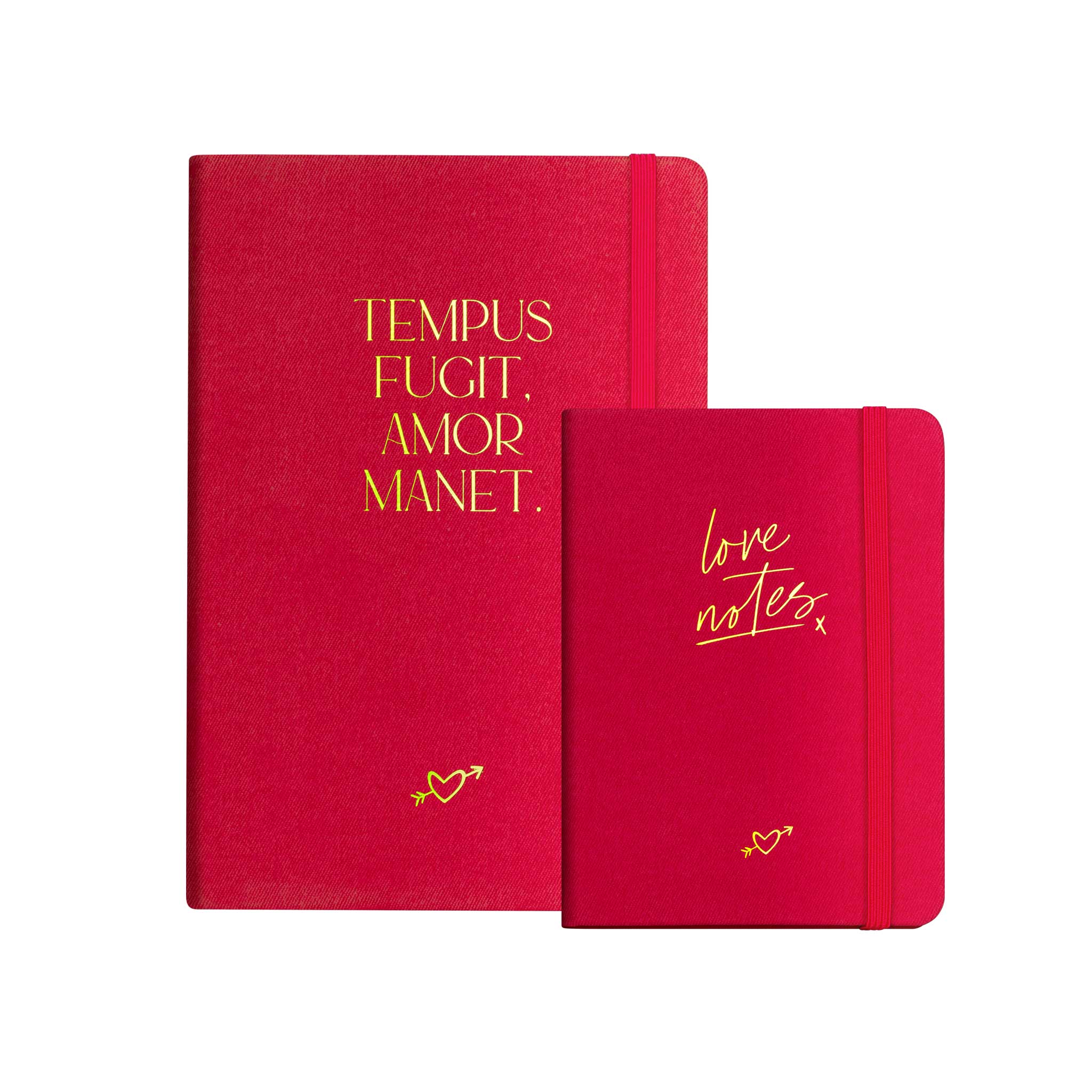 Real Passionates - Wholesale Notebook - Notebook "Amor Manet" | A5, red/gold3