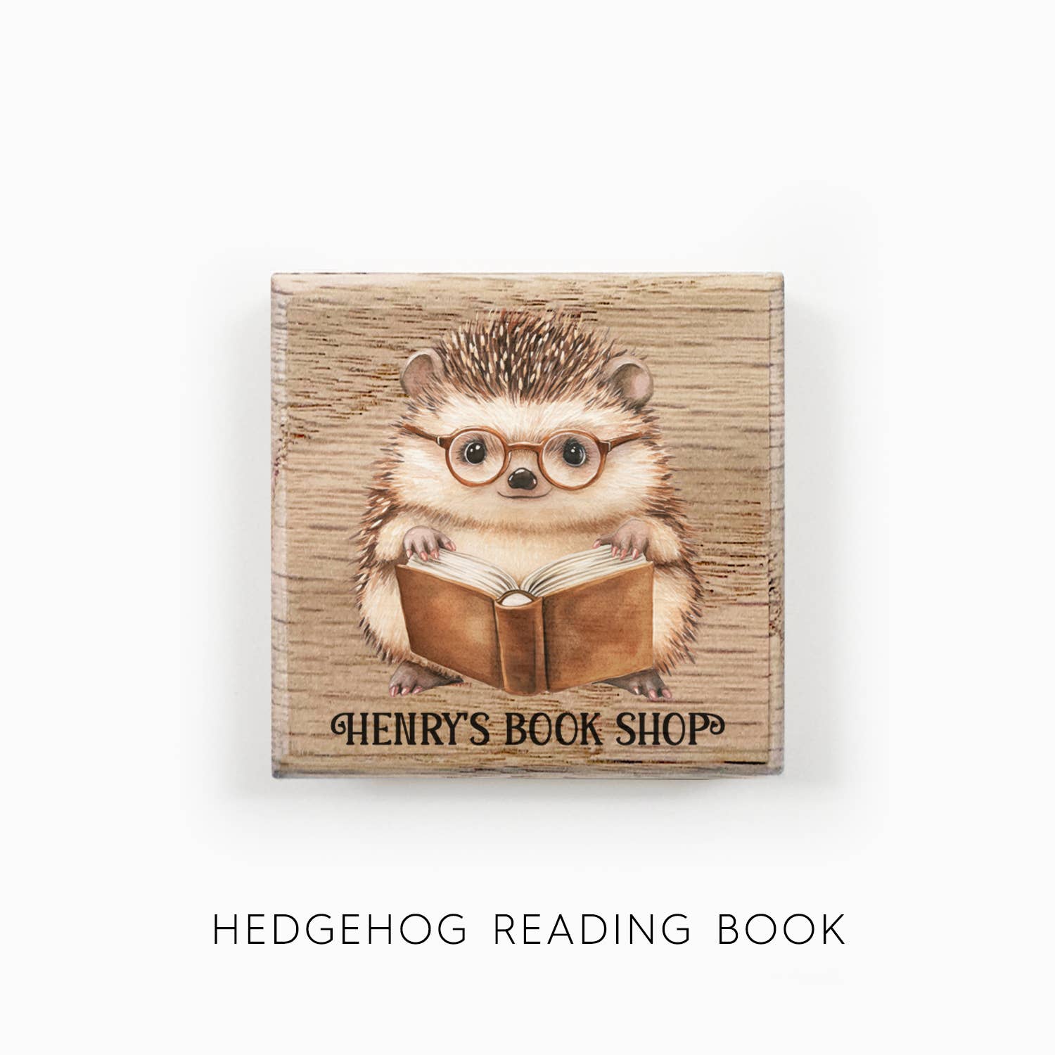 Hangout Home - Vendita all'ingrosso Calamite - Calamite da Frigo Personalizzate per Libreria Animali Carini che Leggono Libri7