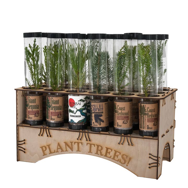 The Jonsteen Company - Wholesale Live Plant - Plant Trees Collection | 18 Live Trees w/ Display
