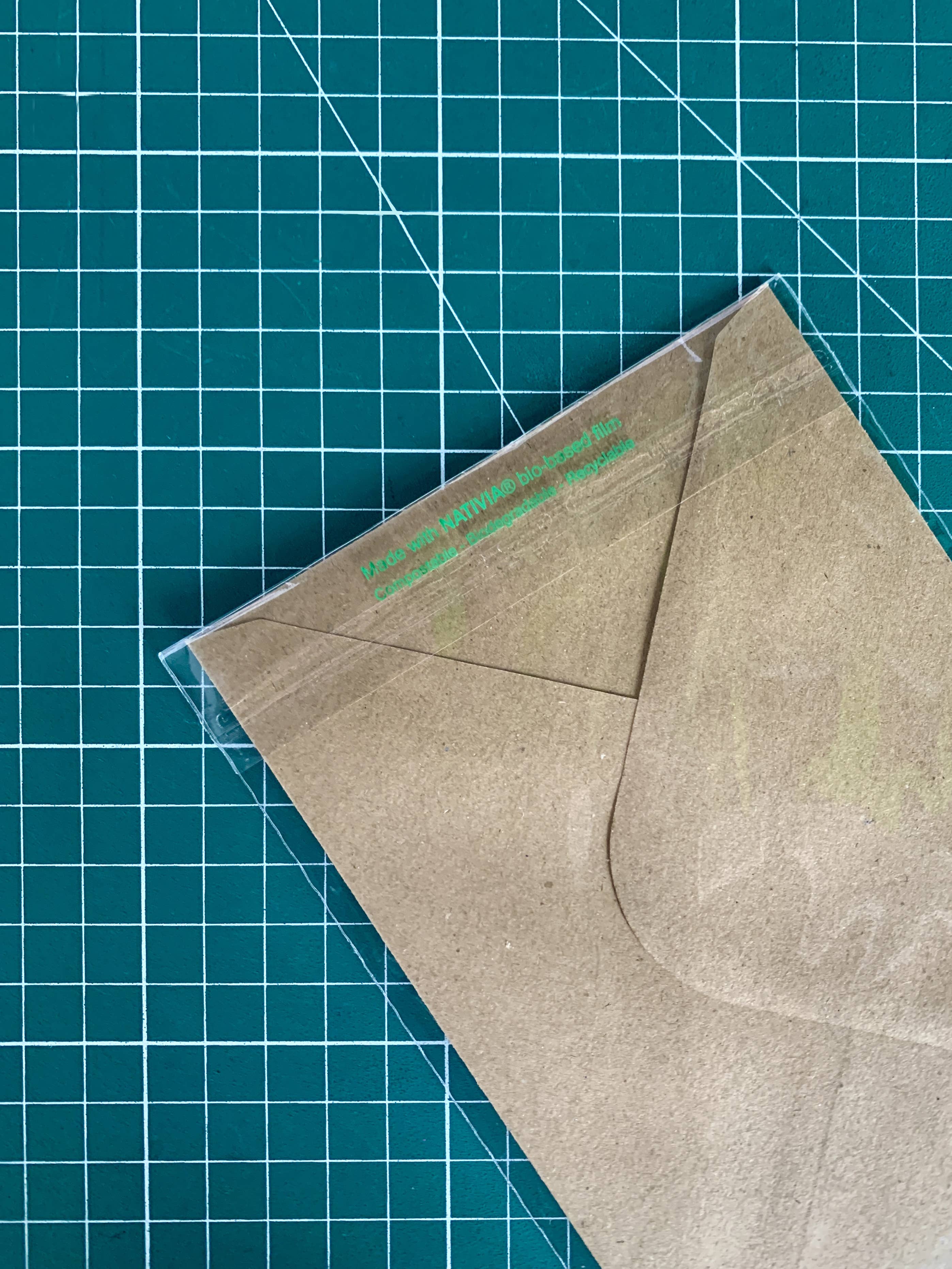 Camille Cauvez illustration et papeterie – Engroshandel Hverdagshilsen kort – Lad dig blomstre | empowerment citat postkort1