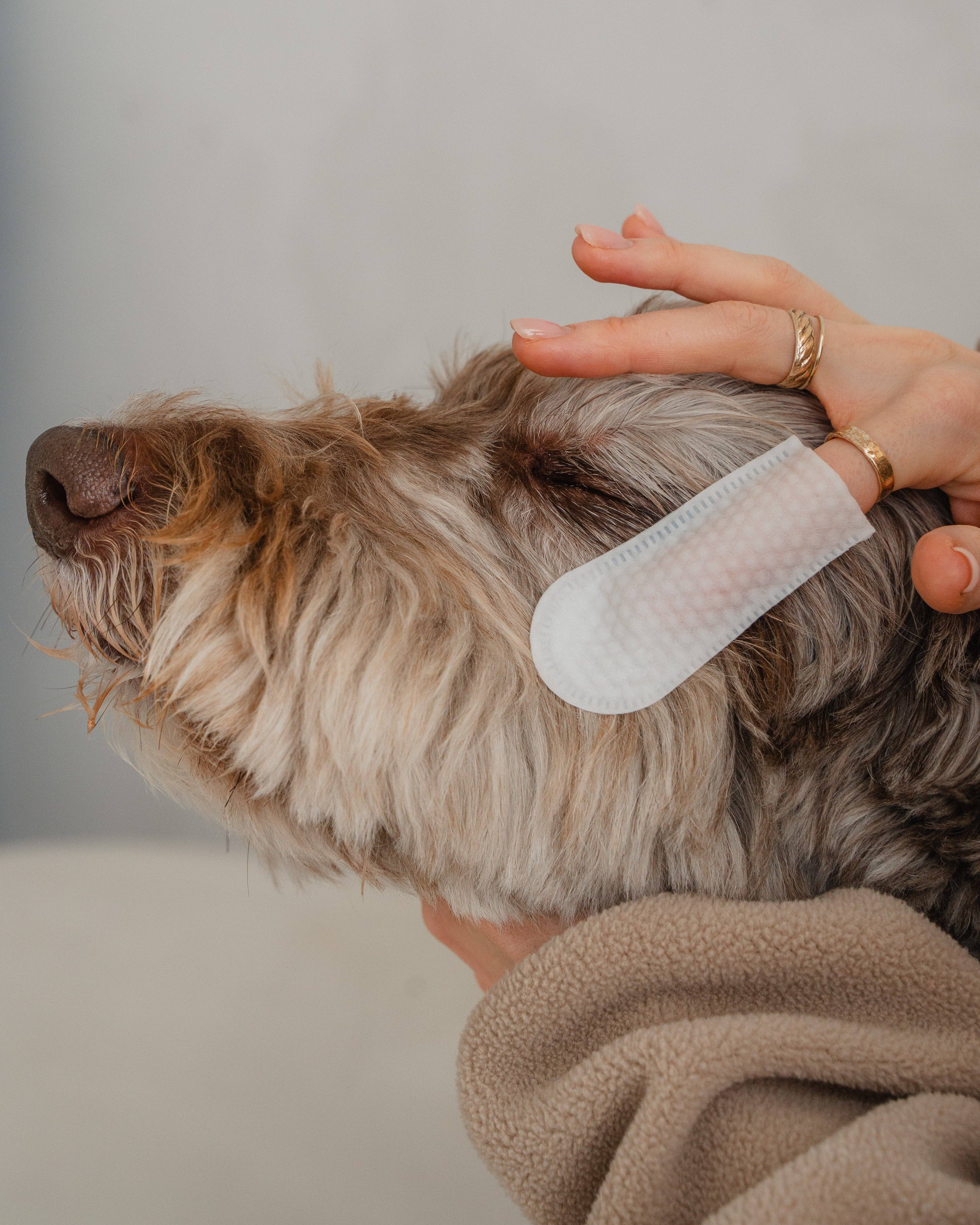 dexypaws - Wholesale Pet Grooming Aid - Dog - 100-Pack Eyes, Ears & Nose Cleaning Finger Wipes for Dogs2