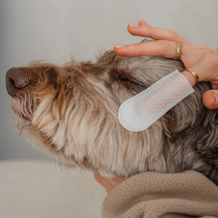 dexypaws - Wholesale Pet Grooming Aid - Dog - 100-Pack Eyes, Ears & Nose Cleaning Finger Wipes for Dogs2