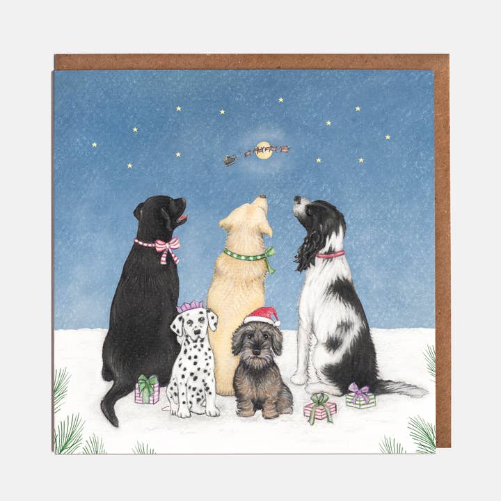 Lottie Murphy - Wholesale Christmas card - Dogs & Presents Christmas Card - Blank0