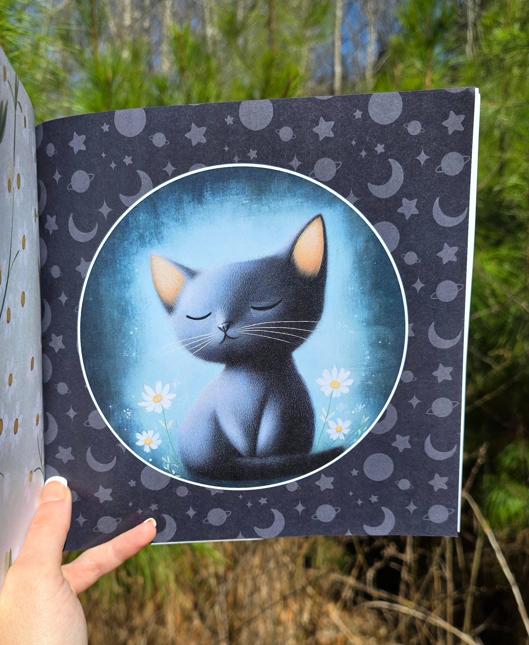 Author Linda Blackmoor - Wholesale Preschool Book (3-5) - Which Witch Am I?12