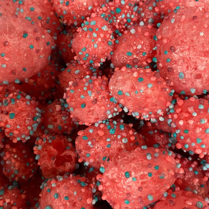 Pea Vine Candy Factory - Wholesale Hard Candy - Bulk Freeze Dried10