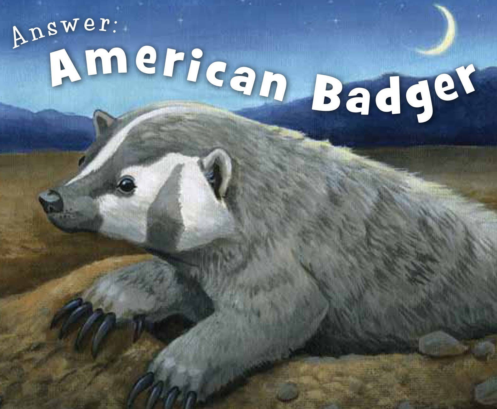 Sleeping Bear Press - Vente Livre – enfant - Petit livre cartonné du Wisconsin2