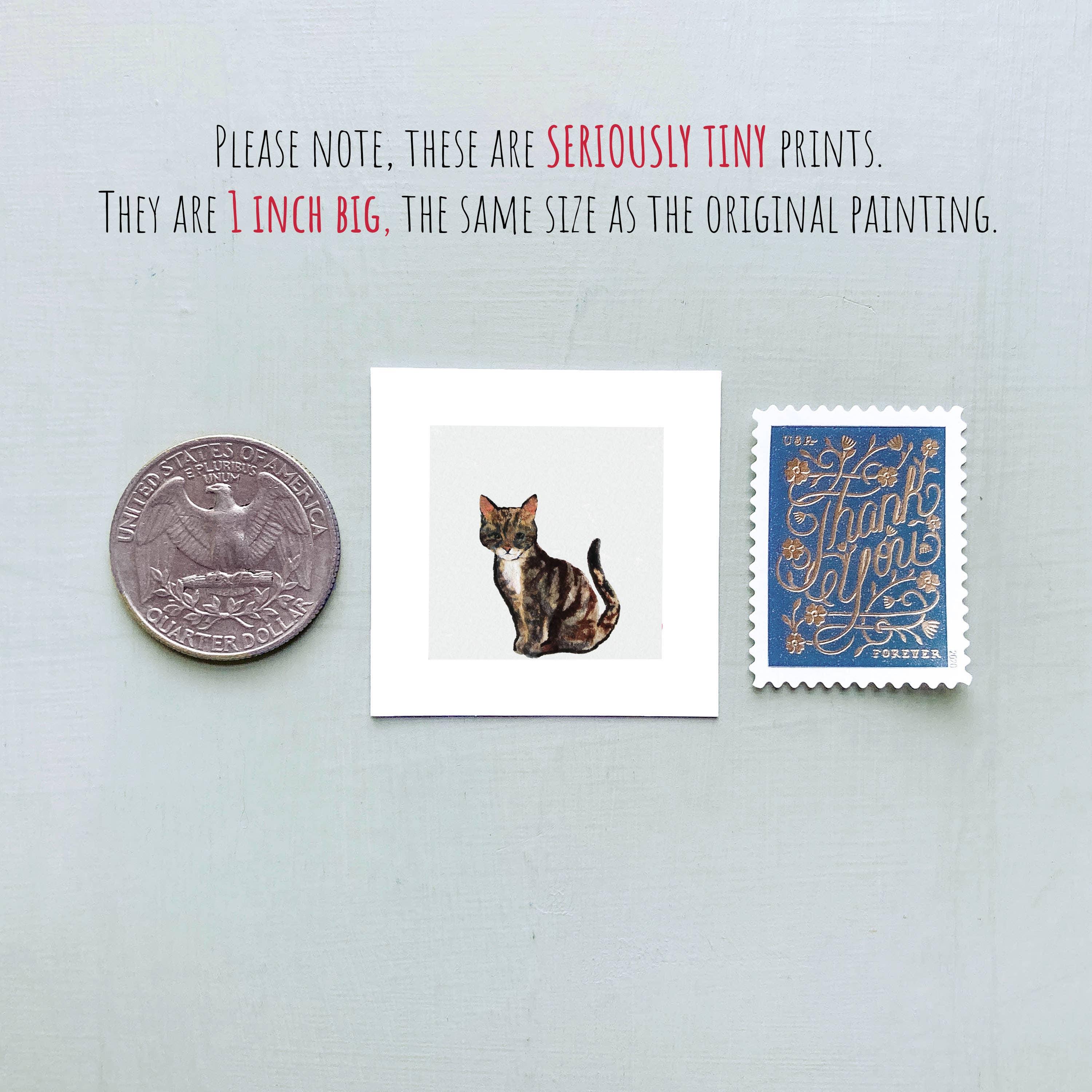 Mick's Art Goods - Wholesale Art Print - Mini 1" Cat Kitten Animal Tiny Watercolor Painting Art Print3