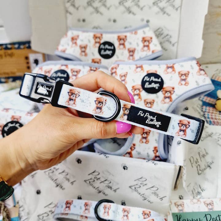 Rusty Bear Puppy or Dog Collar - Size XS - L for wholesale by Pet Pooch Boutique