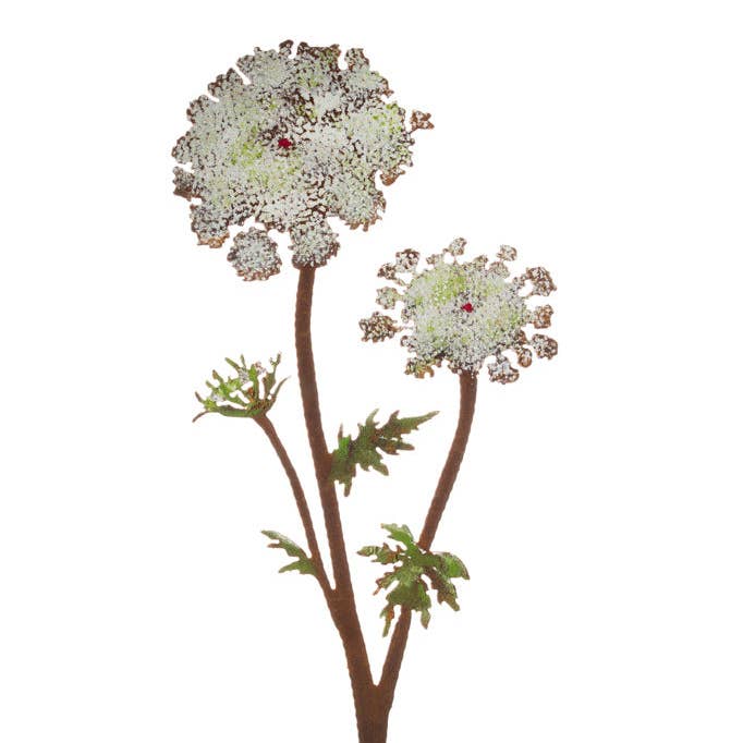 Reine-Anne's Lace Pick - Peint pour la vente par Elegant Garden Design