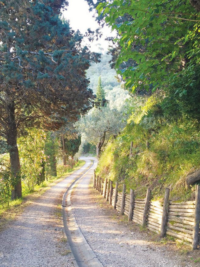 Q199 - Morning Stroll for wholesale by Stonehenge Designs