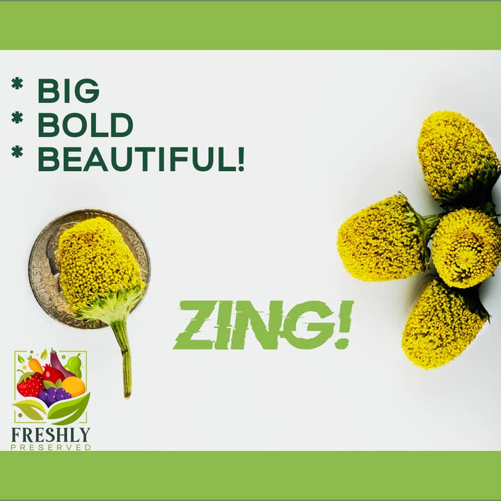 Freshly Preserved - Wholesale Cocktail Mix/Syrup - Freeze-dried Edible Buzz Buttons