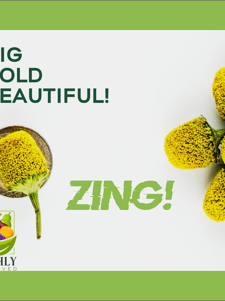 Freeze-dried Edible Buzz Buttons for wholesale by Freshly Preserved