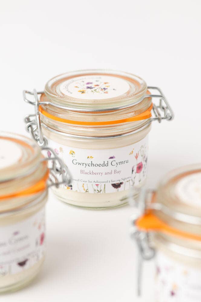 Little Bit Different - Vendita all'ingrosso Candela in vasetto - Spiagge del Galles Candle6