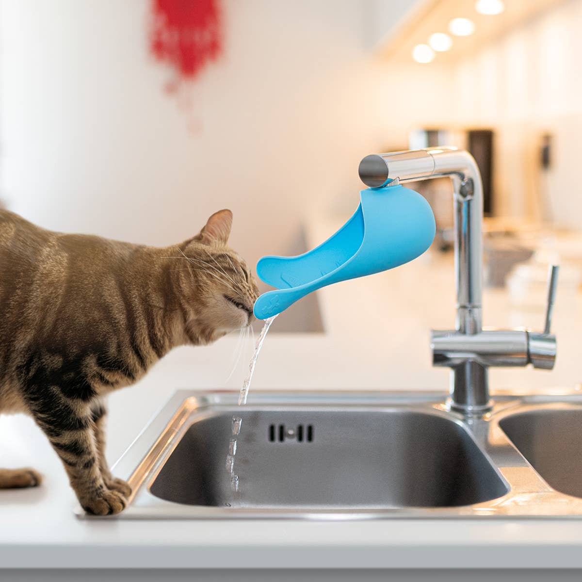 United Pets - Vente Gamelle – chat et chien - Robinet universel en silicone pour chats6